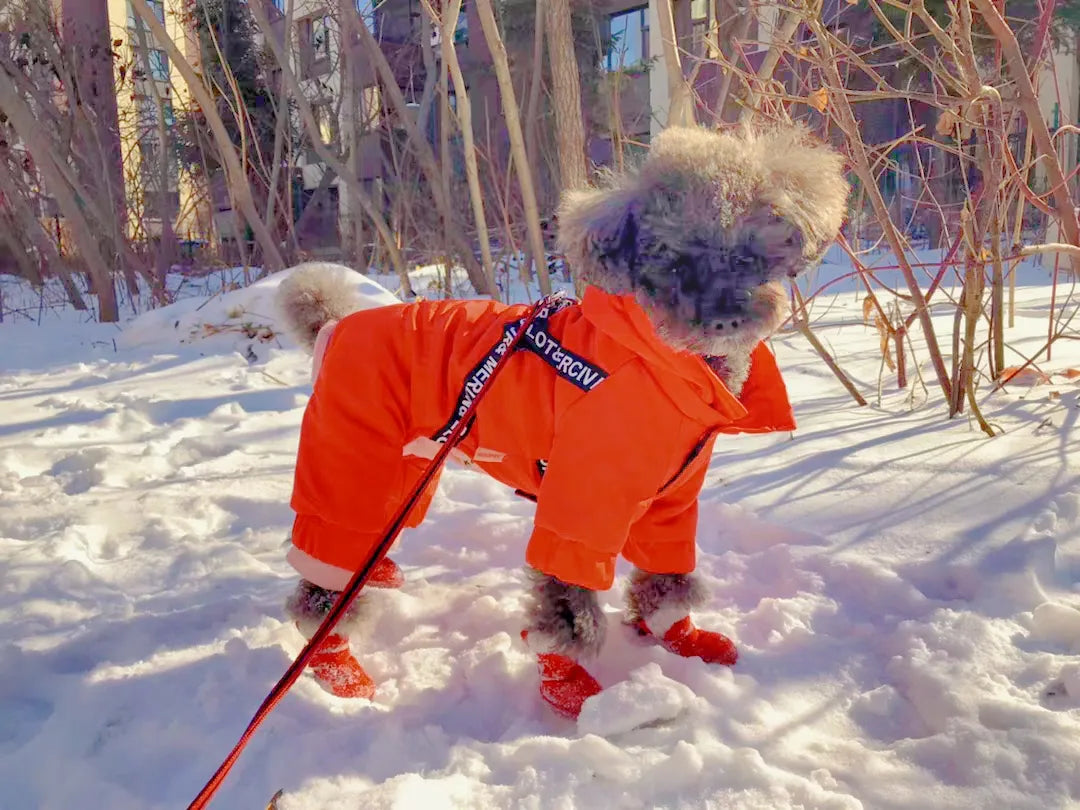 Dog winter jacket