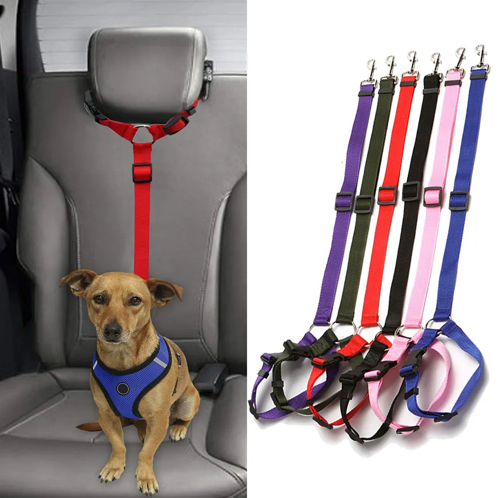 Two-in-one dog harness and car seat belt