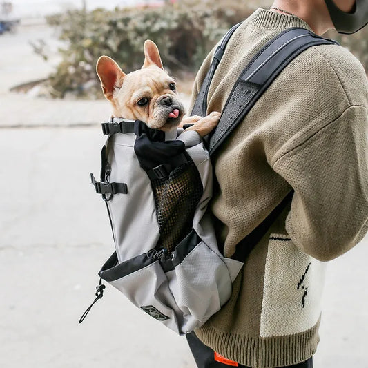 Outdoor Travel pet carrier