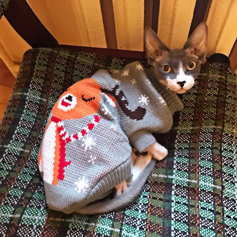 Dog and cat sweater