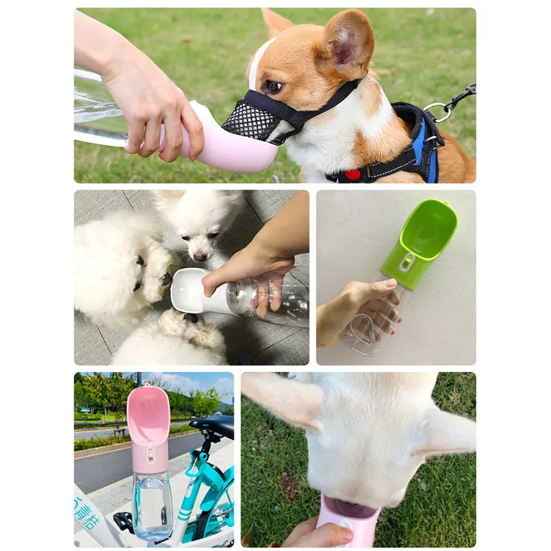 Pet portable feeder and  Water Bottle