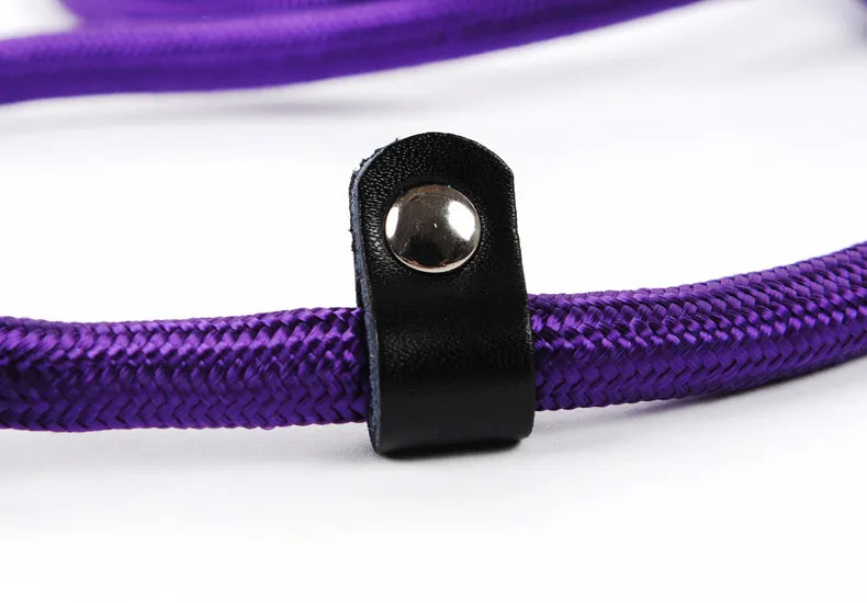 Comfortable dog leash