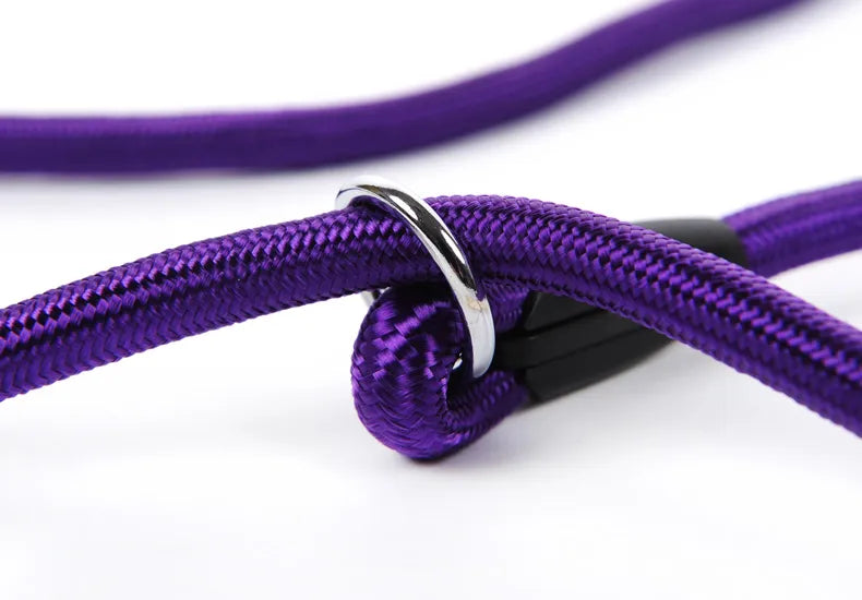 Comfortable dog leash