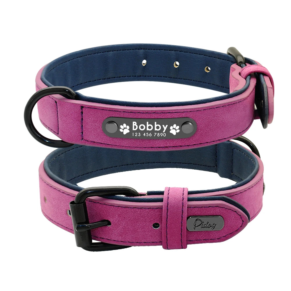 Custom dog collar