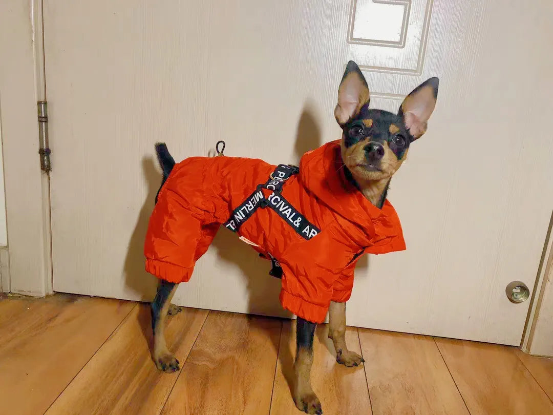 Dog winter jacket