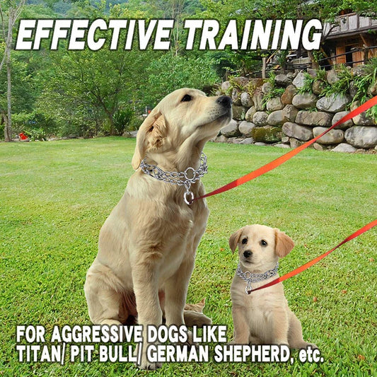 Dog Training Collar With Comfort Rubber Tips