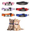 Personalized cat collar