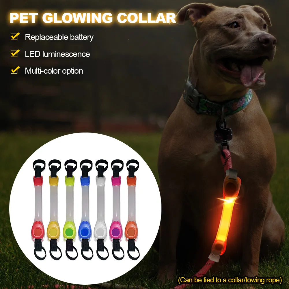 Dog LED collar + leash