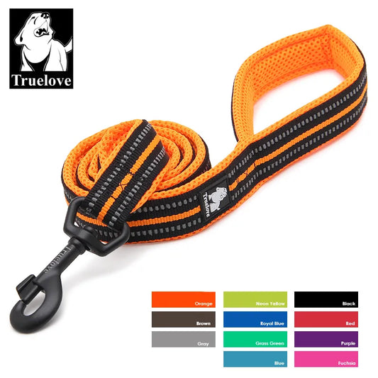 Stylish dog leash