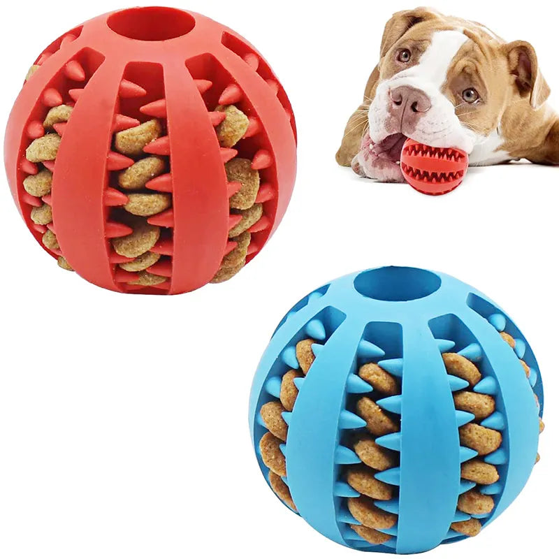 Dog treat ball