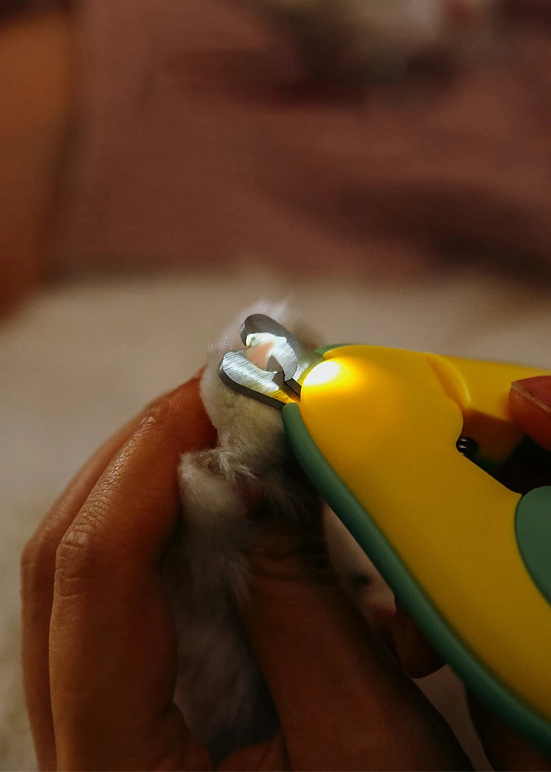 pet nail clipper with LED lights