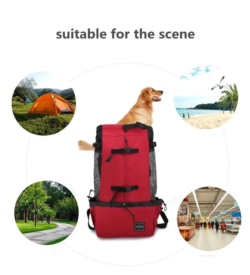 Reflective pet carrier backpack