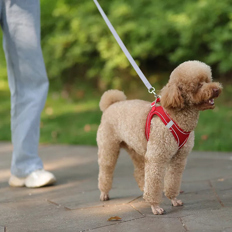 Adjustable dog harness