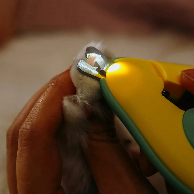 pet nail clipper with LED lights