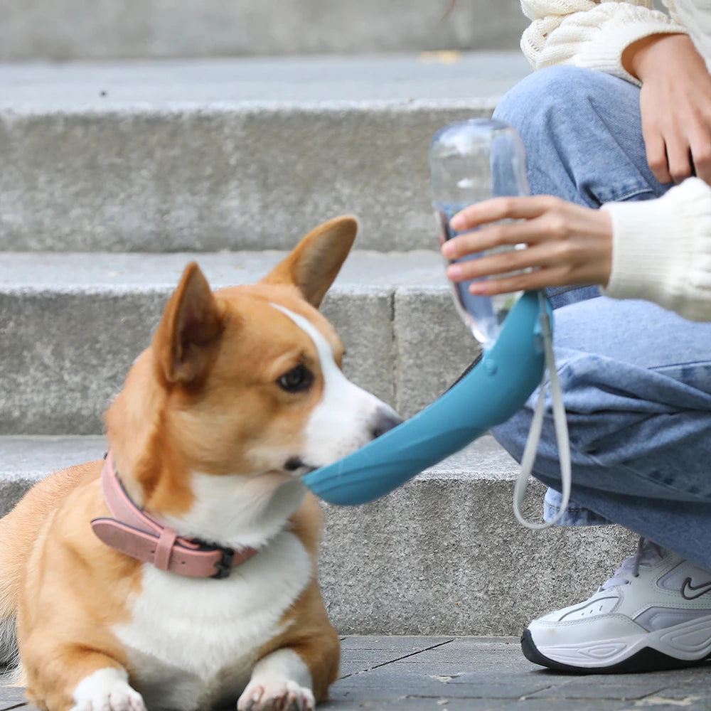 Portable drinking water cup