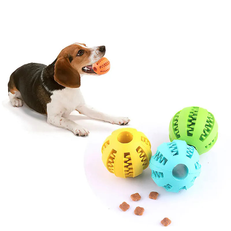 Dog treat ball