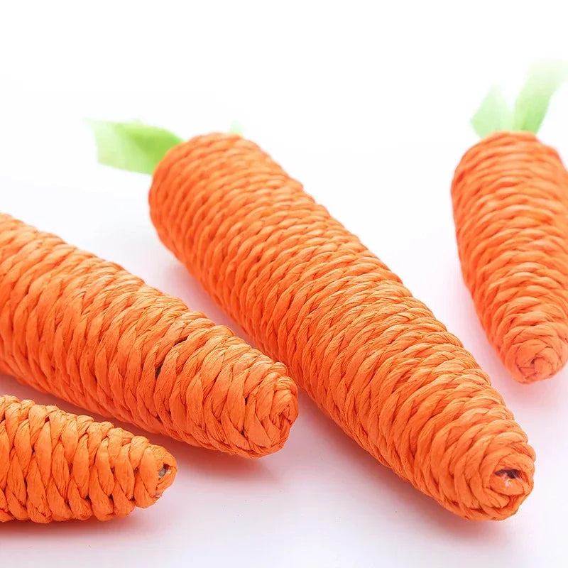 Carrot cat toy