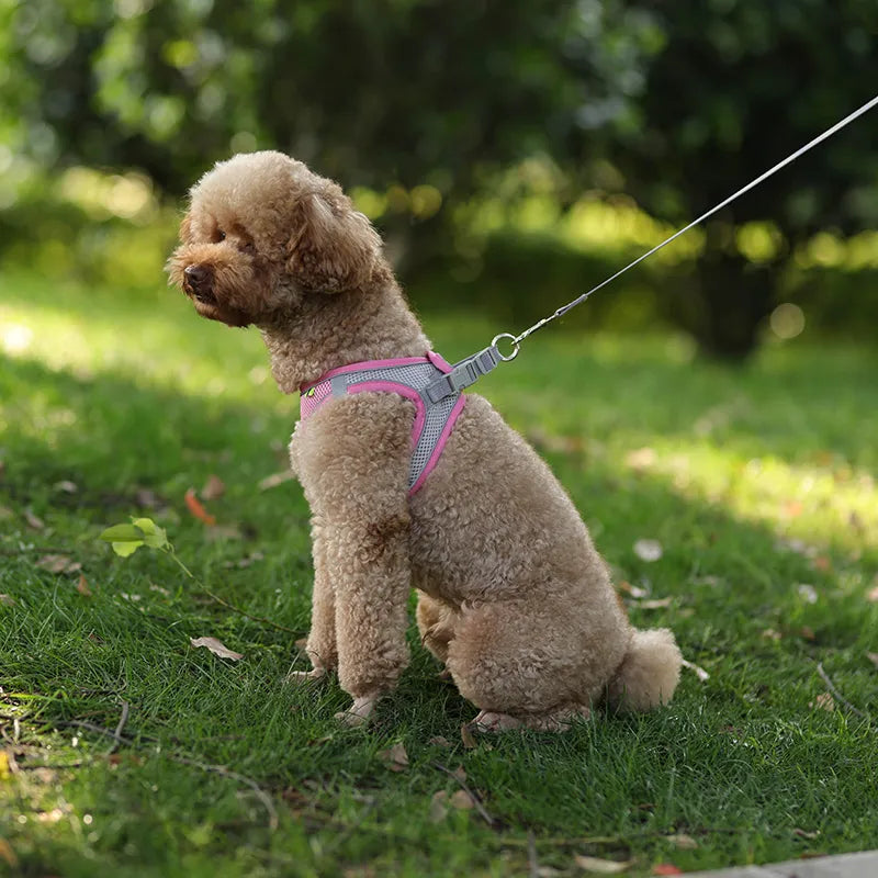 Adjustable dog harness