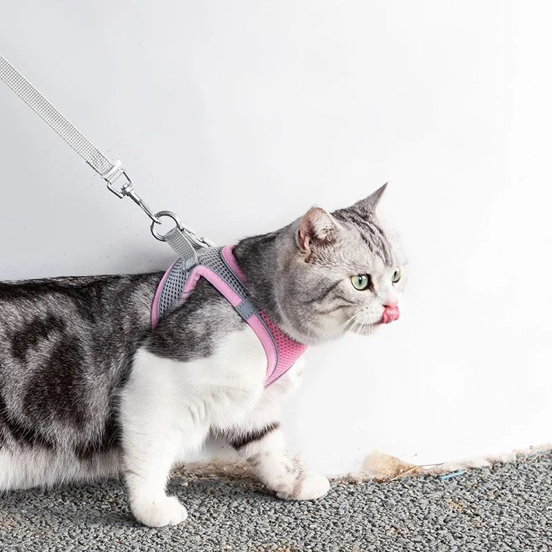 Escape Proof Cat Harness and Leash