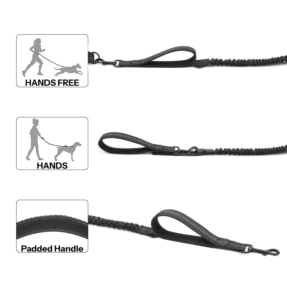 Hands free leash