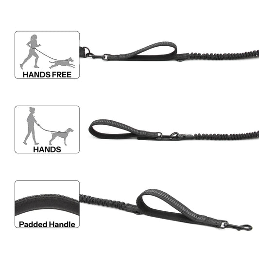 Hands free leash