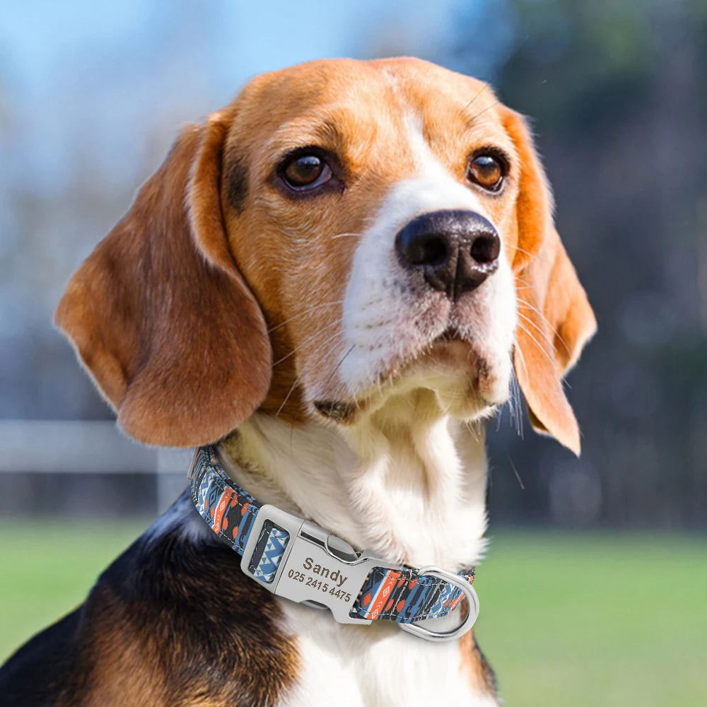 personalized Dog Collar