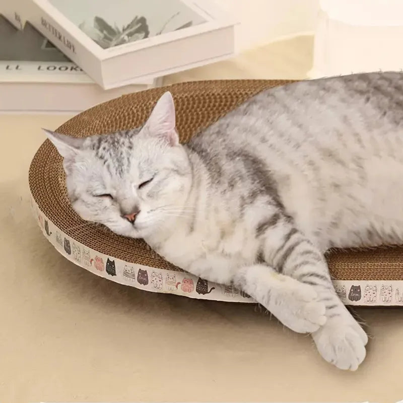 Cat scratcher bed