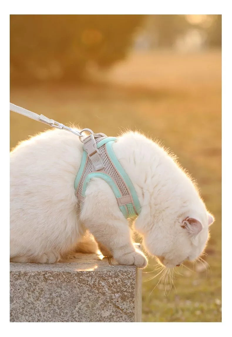 Escape Proof Cat Harness and Leash