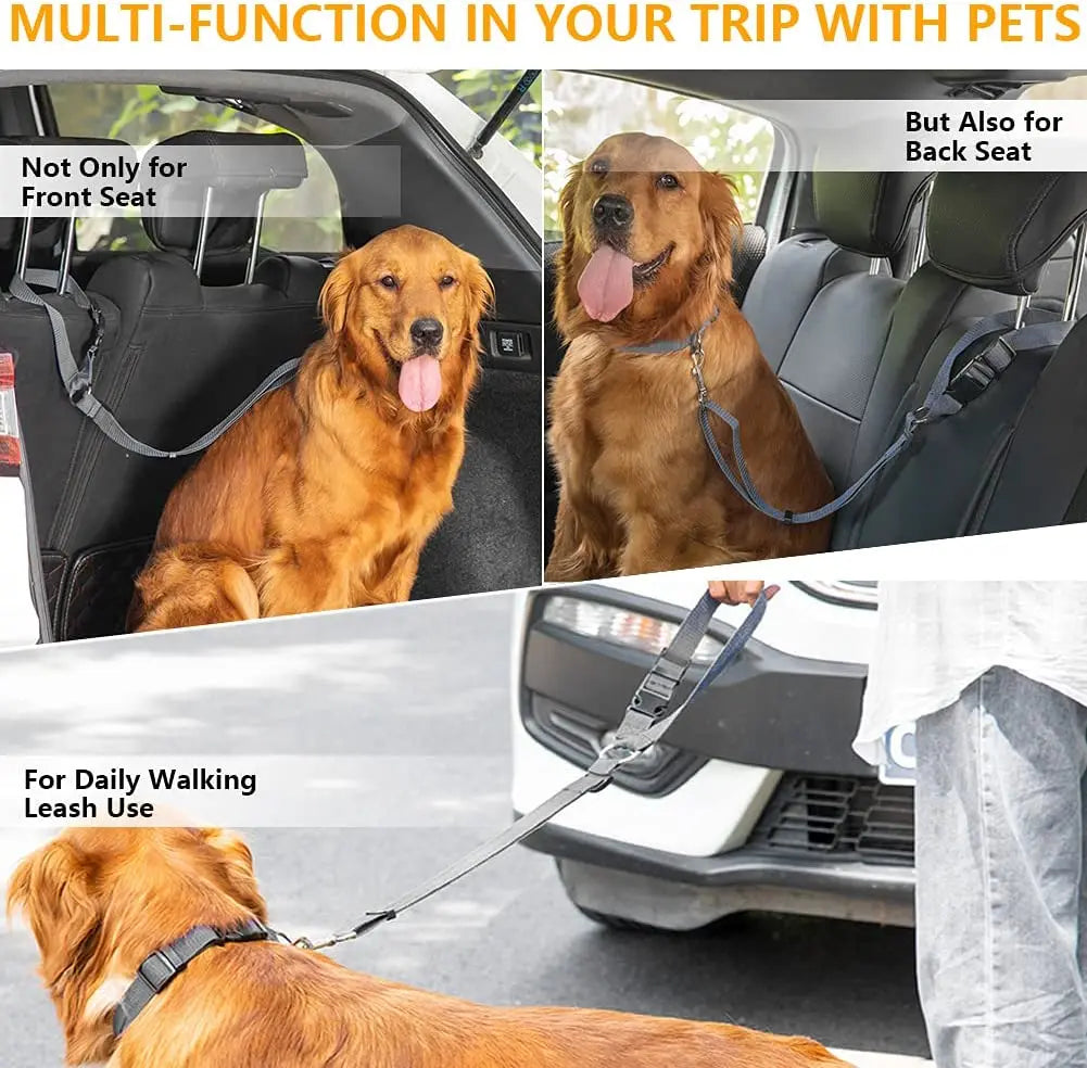 Two-in-one dog harness and car seat belt