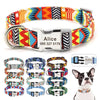 personalized Dog Collar