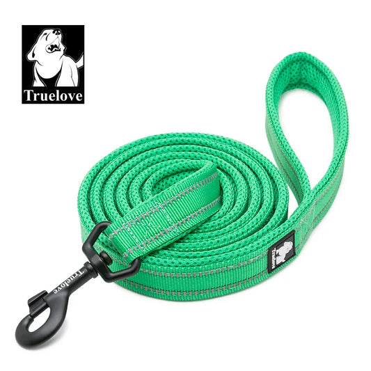 Stylish dog leash