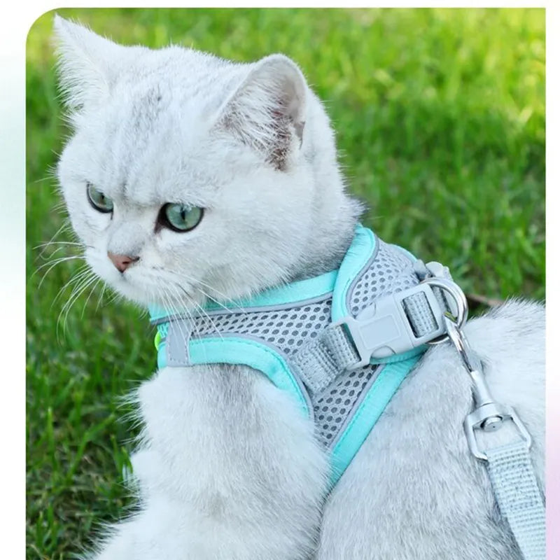 Escape Proof Cat Harness and Leash