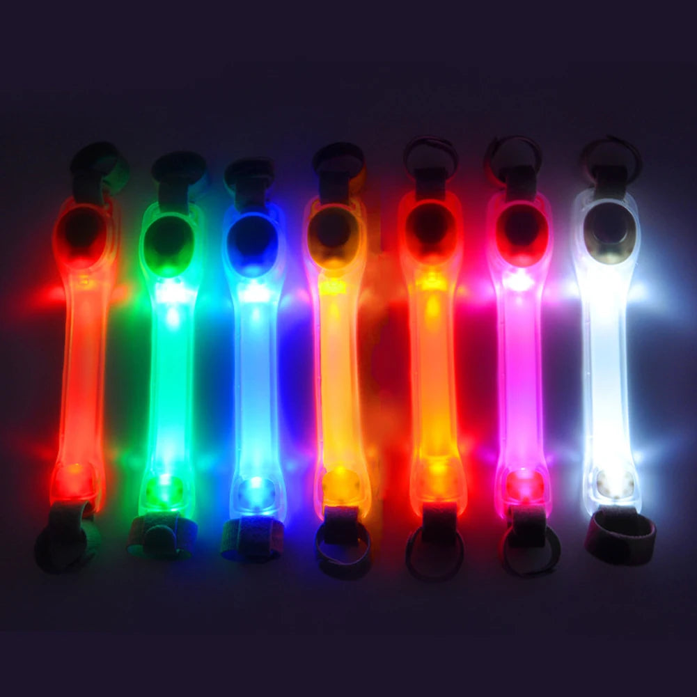 Dog LED collar + leash