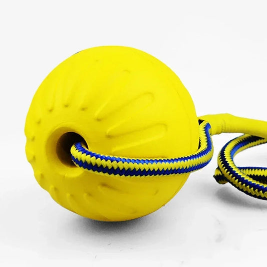 Dog Ball Toy