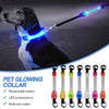 Dog LED collar + leash