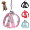 Adjustable dog harness