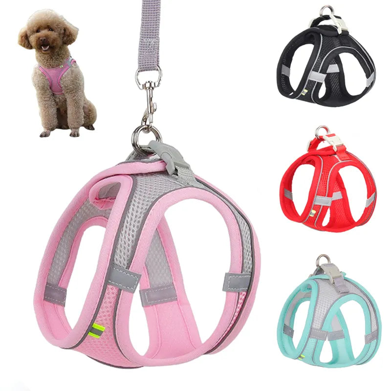 Adjustable dog harness