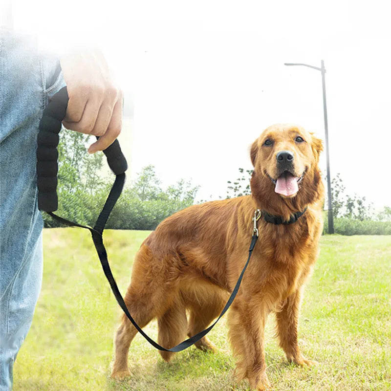 New Long Dog Leash