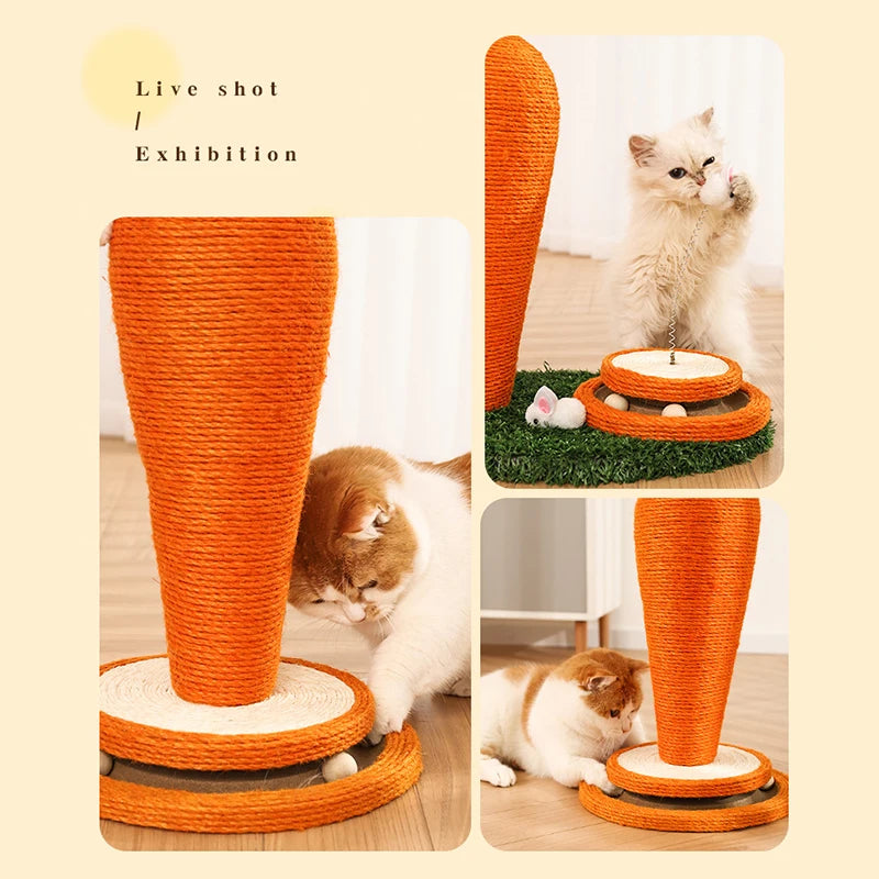 Cat scratcher