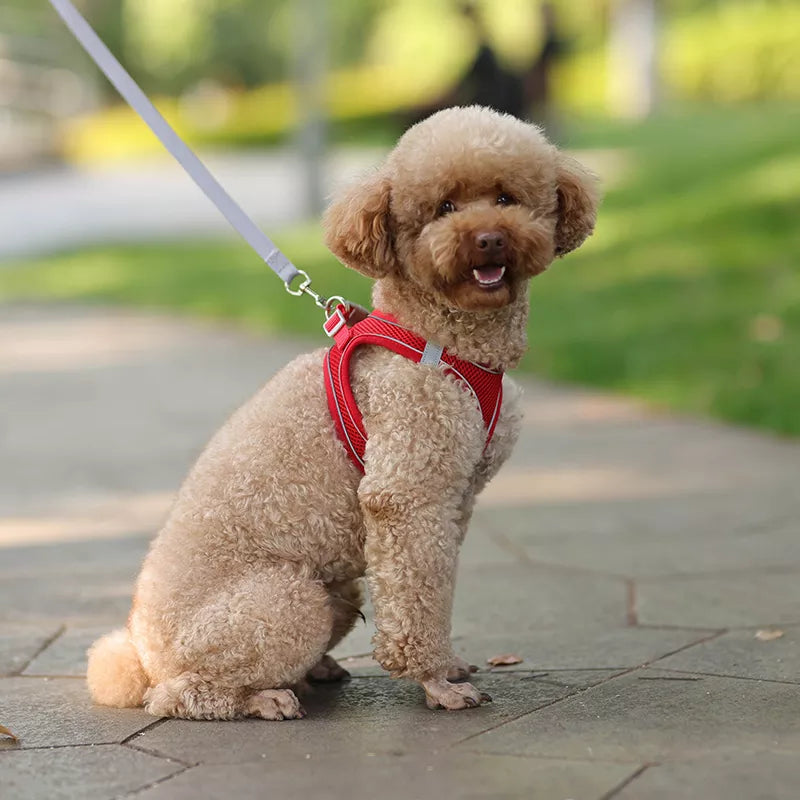 Adjustable dog harness