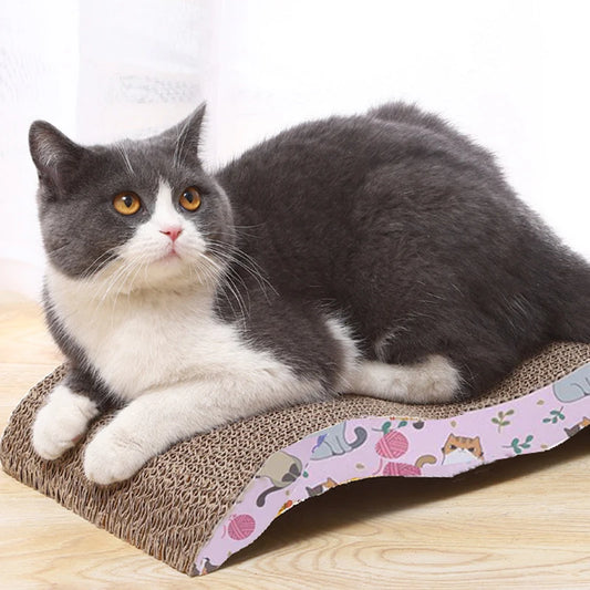 Cat Scratching Board