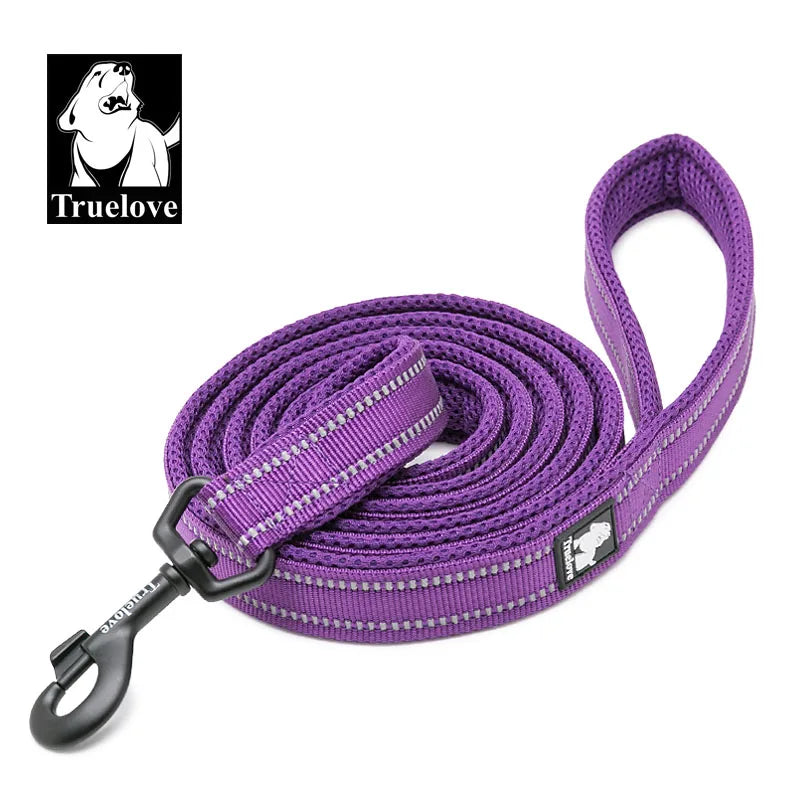 Stylish dog leash