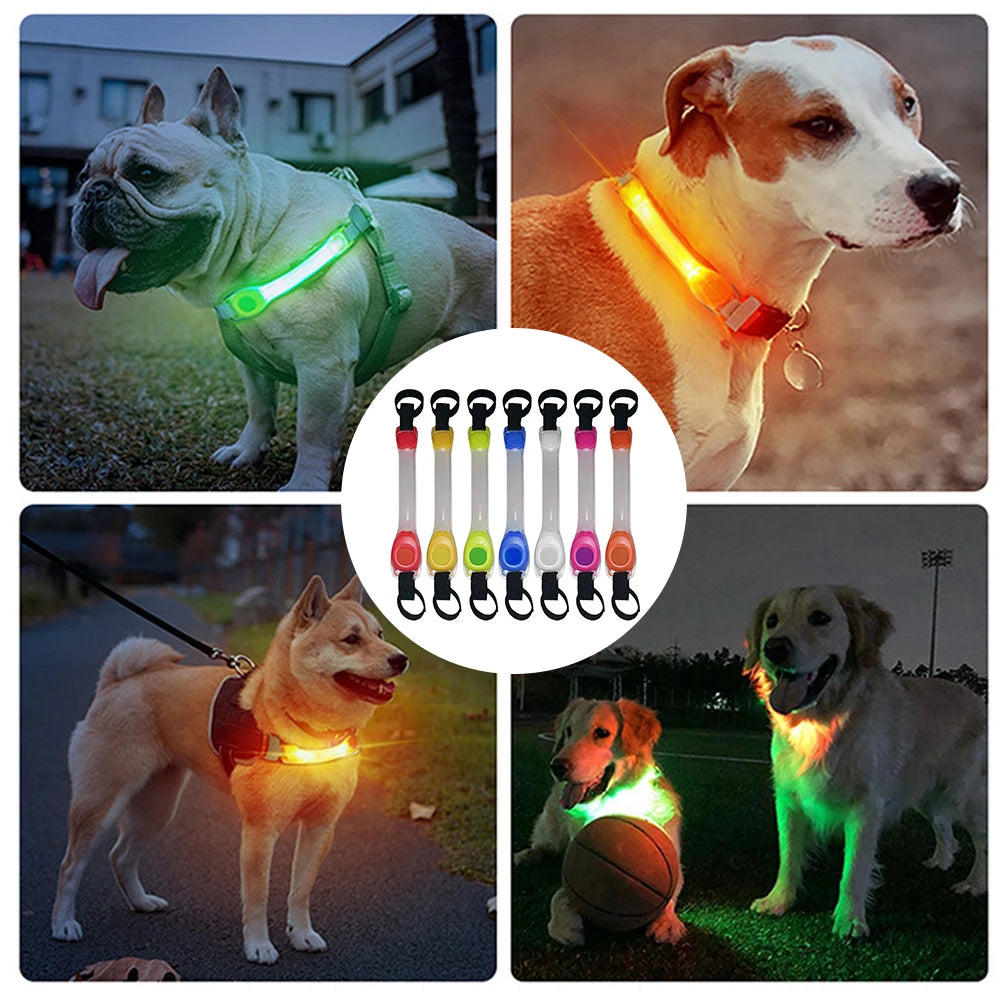 Dog LED collar + leash