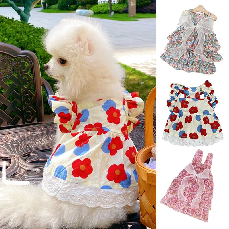 Cute pet dress