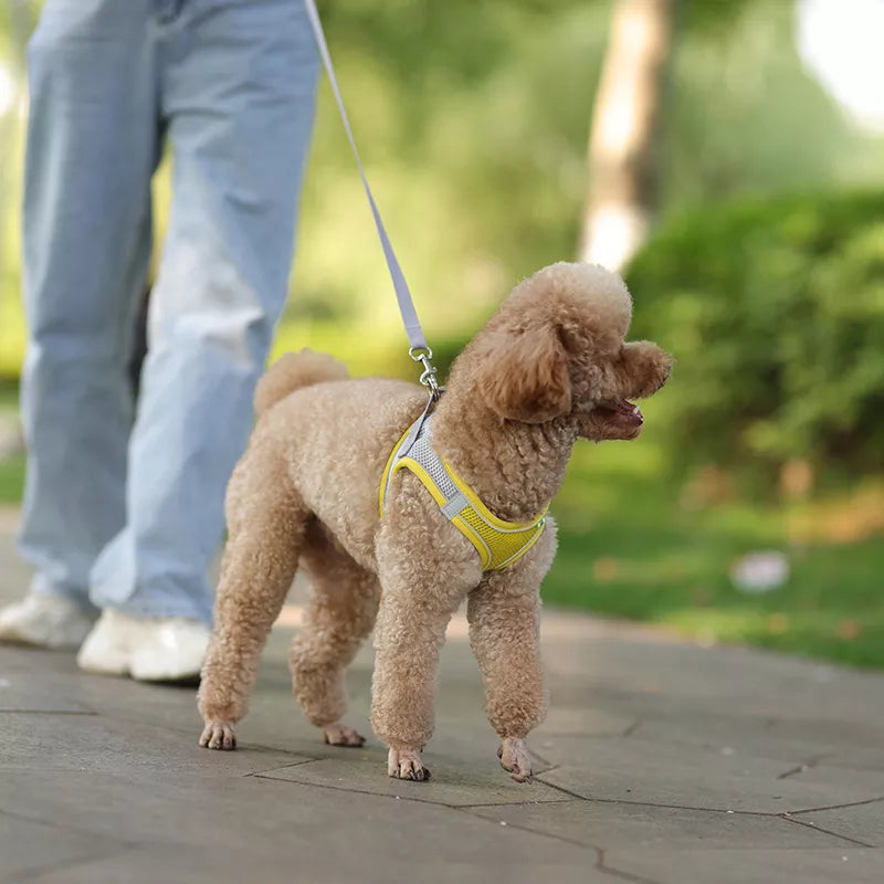 Adjustable dog harness