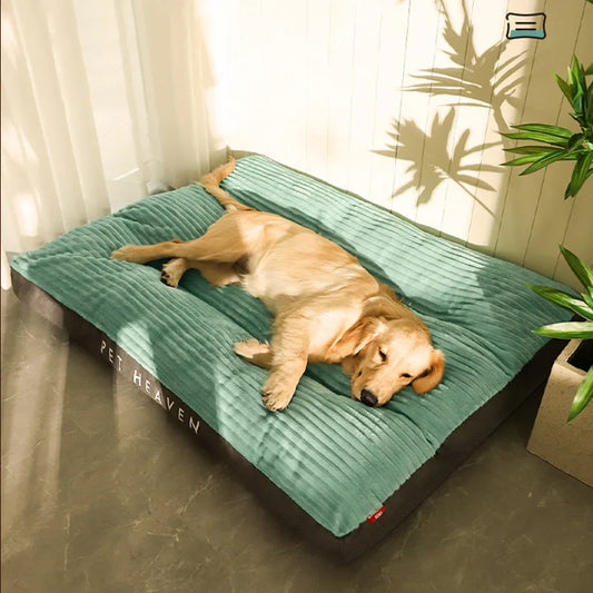 Comfy dog mat