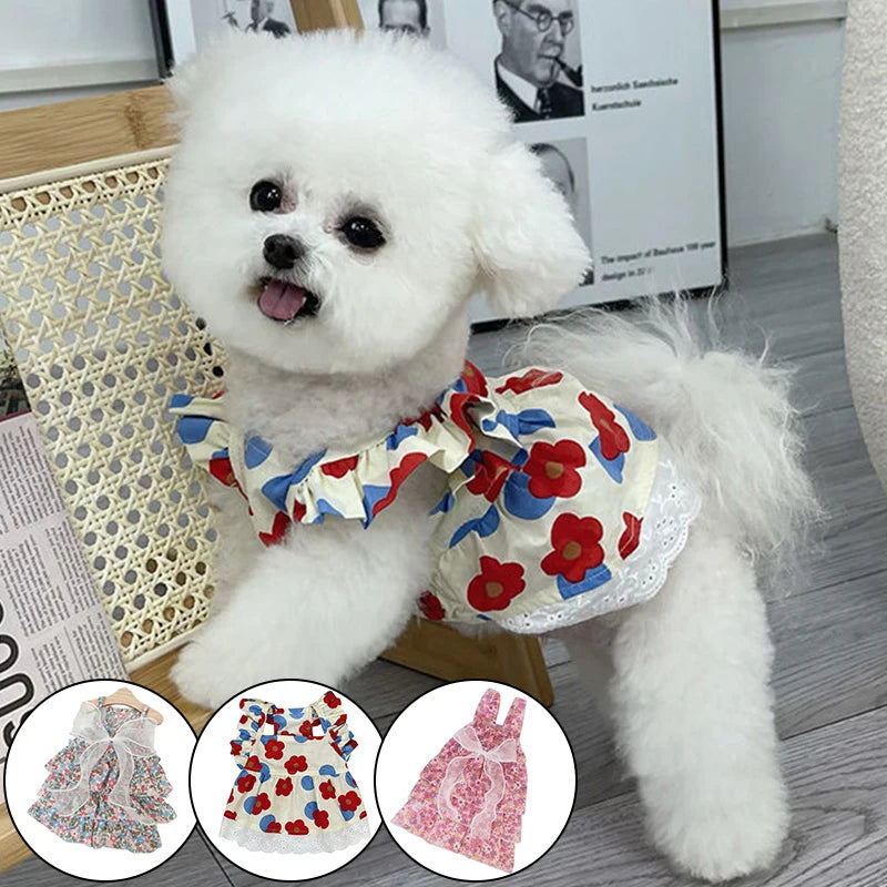 Cute pet dress