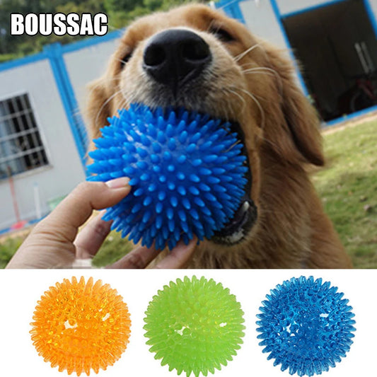 Squeaky Tooth Cleaning Ball