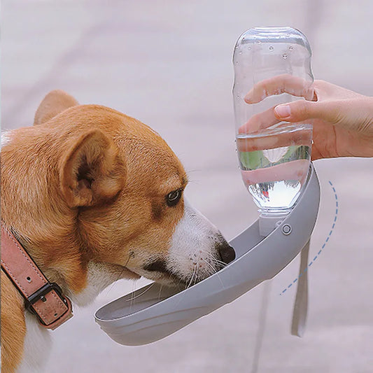 Portable drinking water cup