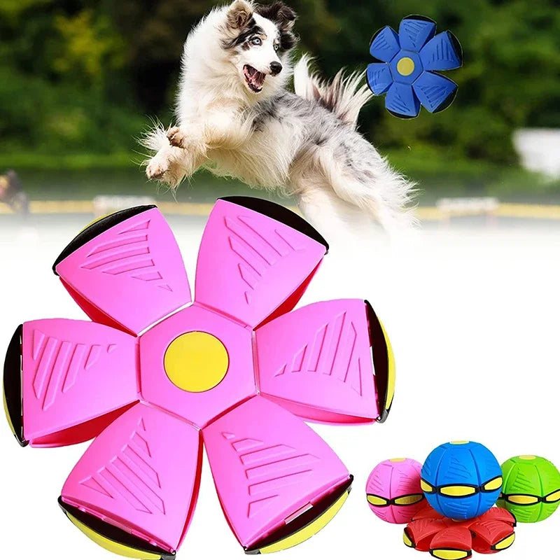 Flying UFO dog toy